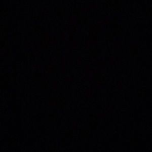 Meet your Posher, Ramone